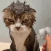 GIFs Bixins com Calor 2 🥵 10