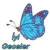 İyi Geceler🌙 28