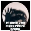 🎶Pedro, Pedro🦝Mapache🎶 6