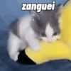REAÇÕES DIÁRIAS 7