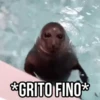 GIFs Pets Fofos Memes 2 🐾 7