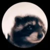 Chipichipichapachapa 7