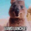 GIFs Pets Fofos Memes 2 🐾 30