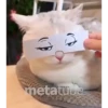 Gatinho 14