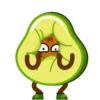 Puchaina 🥑 Aguacate 🥑 10