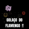 GOLAÇO DO FLAMENGO !!