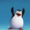 Préndelo pingüino 🐧🔥🐧 13