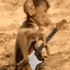 🐒 Monos divertidos random 🐒🐒 6
