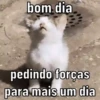 BOM DIA 🌞 12