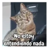 No estoy entendiendo nada