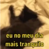 Reações de gatíneos 🐈🐈‍⬛ 11
