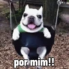 Tô só banha 10