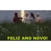 Ano novo 6