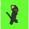 Gato bailando 6