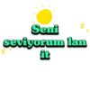 Kurtlar vadisi 19