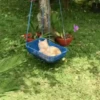 Funny Cats meme🐱 6