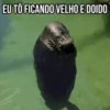 GIFs Pets Fofos Memes 🐾 6