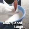 Funny Goat 🐐 12