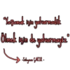 Kurtlar vadisi 14