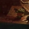 ShitGifs 6