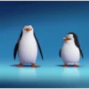 Préndelo pingüino bailando 🐧🎶 5