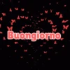 Buongiorno 2 3