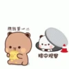 Dudu bubu 10