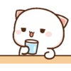 Dudu bubu 27