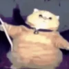 🐱 Cheeseball | The Wizard Cat 11