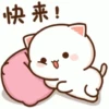 Dudu bubu 25