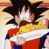 Dragon Ball 🟠 15
