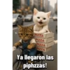 Spiderman  20