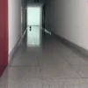 Little animals 🐕 7