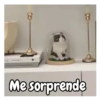 LE Me sorprende
