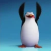 Préndelo pingüino 🐧🔥🐧 9