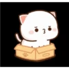 Kucing gemoy 8