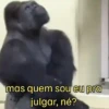 Macacos/monkey 10