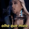 olha que mico