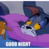 Tom and Jerry 29