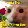 uma flor para outra flor