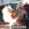 BOM DIA 🌞 11