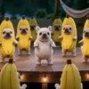 Pibble 🐶 | Perrito Tiktok  30