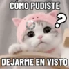 NO ME DEJES EN VISTO ✔️✔️😾 14