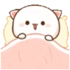 Mew mew 1 13
