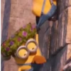 Minions  10