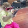 Reações de macaquinhos 🤣 13