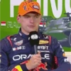F1 red bull 9