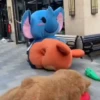 🔥 TIKTOK RAMDON 10📱 20