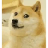 Doge animated stickers 16