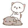 Cat peach 3 22